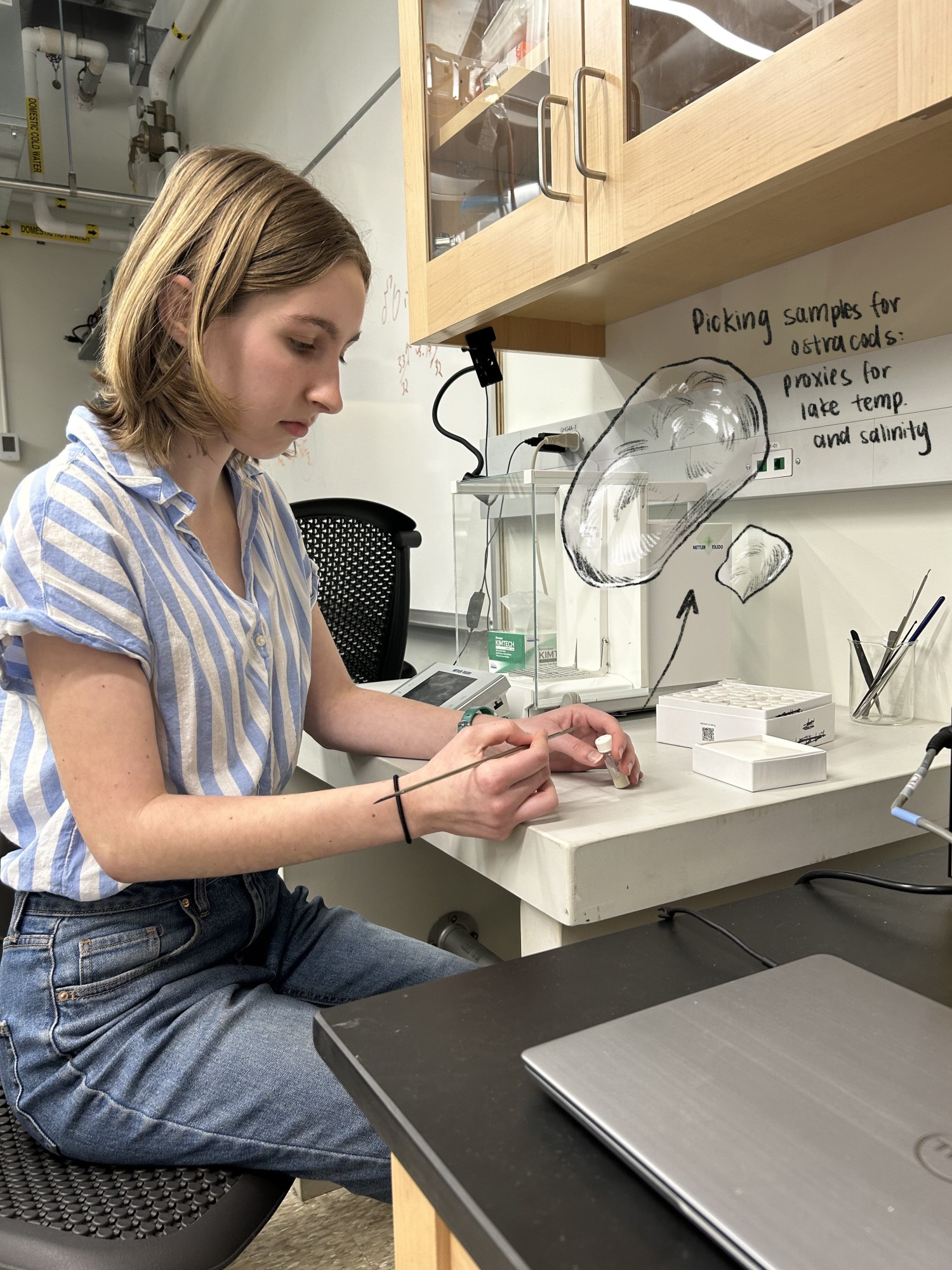 Anna in the lab, with text saying "picking samples for ostracods: proxies for lake temp and salinity"