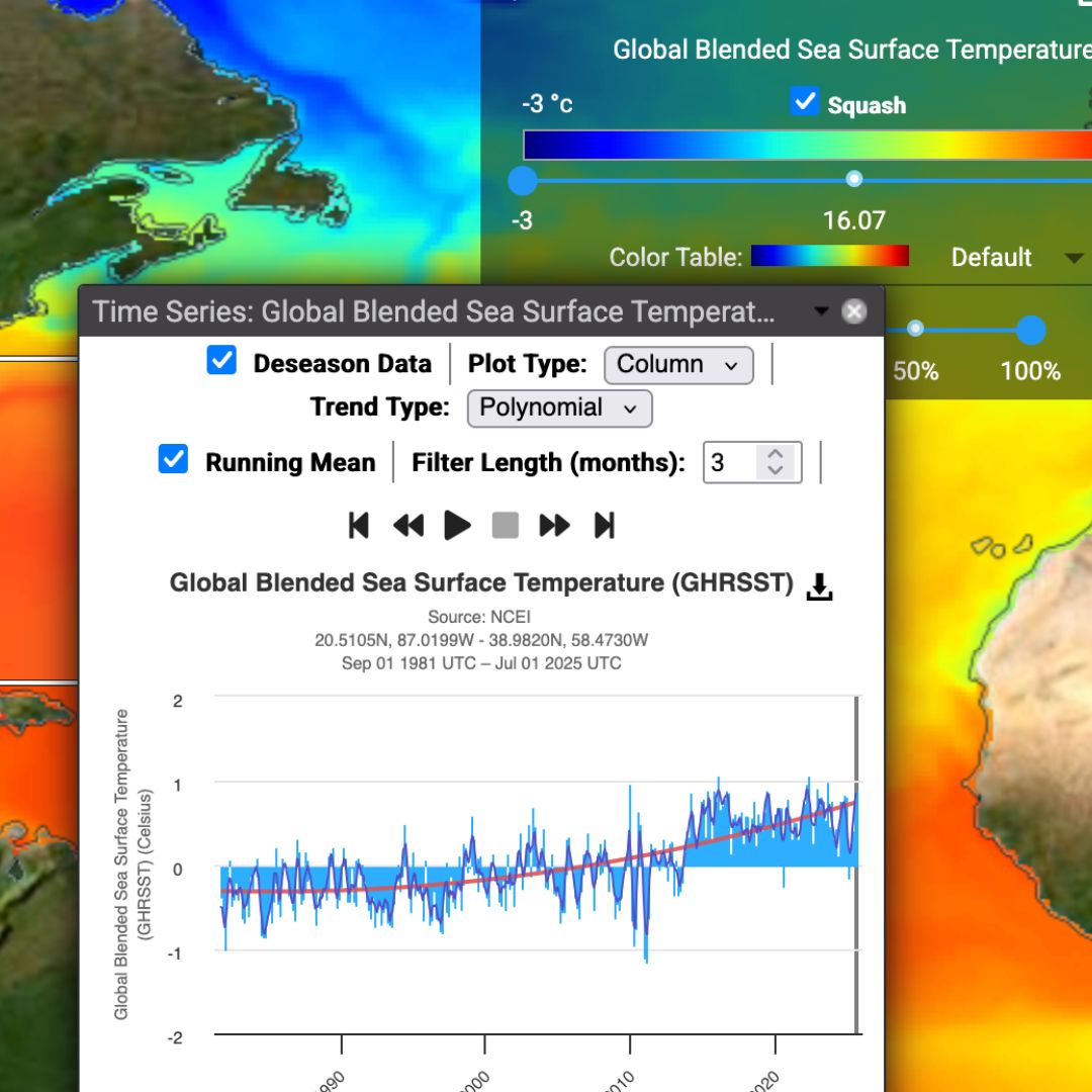 A screenshot of a time analysis graph of sea surface temperature from NASA data