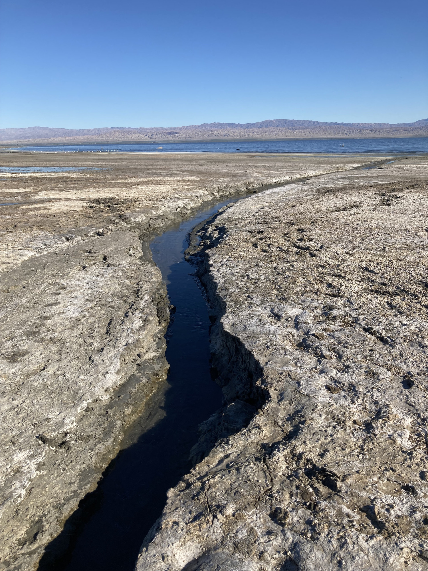 photo of the shallow waters at the Salton Sea