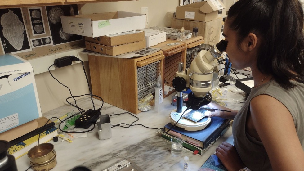 Anjali looking through the microscope. 