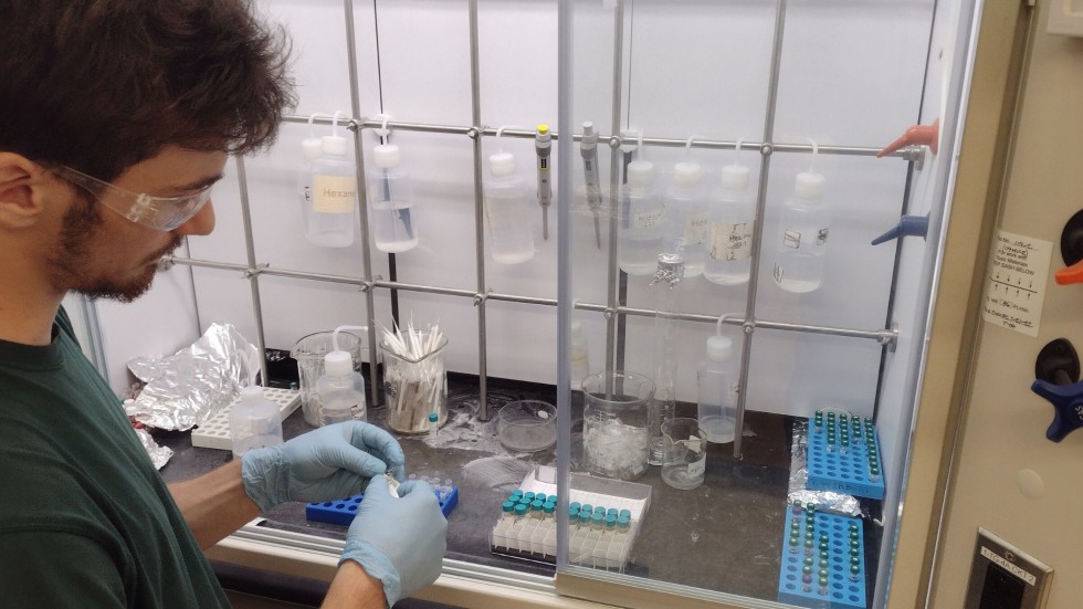 Gabriel working with test tubes in the lab. 