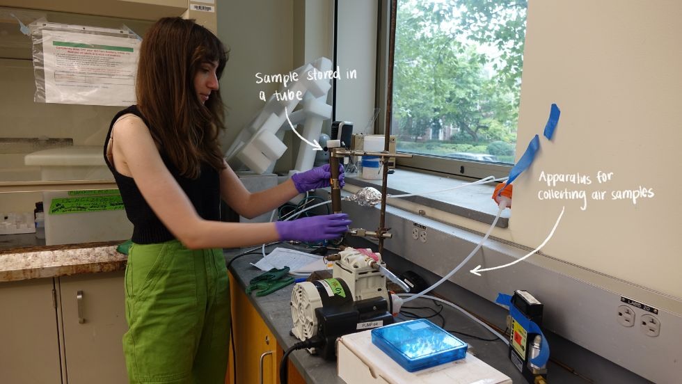 Emma analyzing samples in the lab