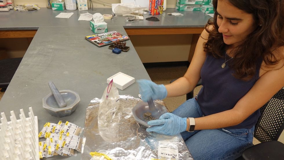 Isabel processing samples with a mortar and pestle 