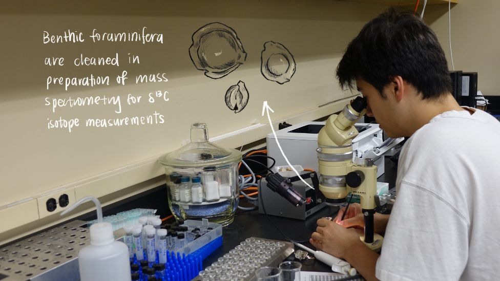 Galen analyzing samples in the lab.