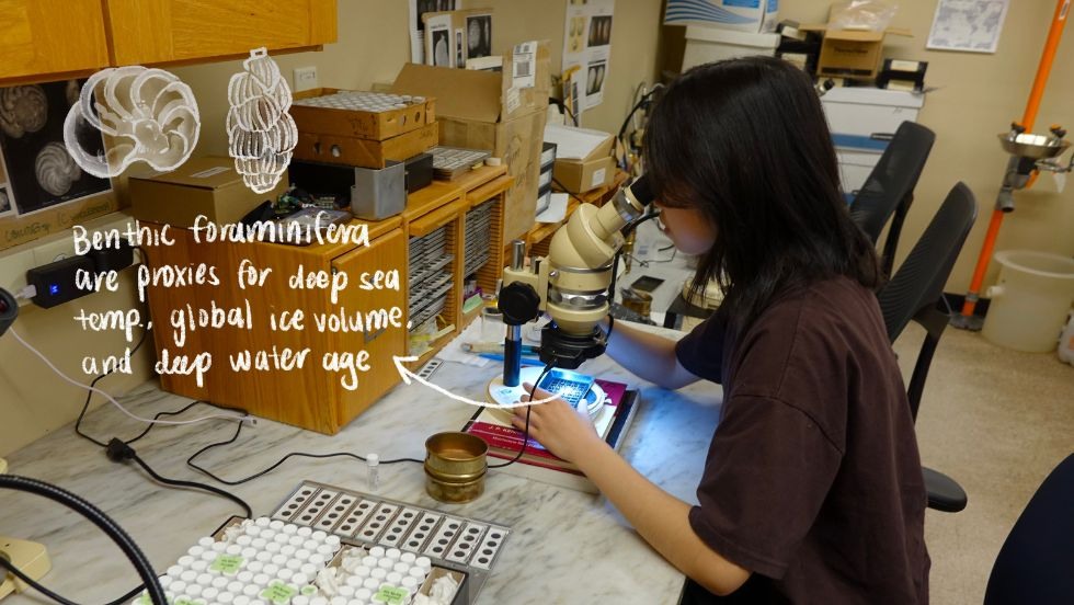 Claire analyzing samples in the lab