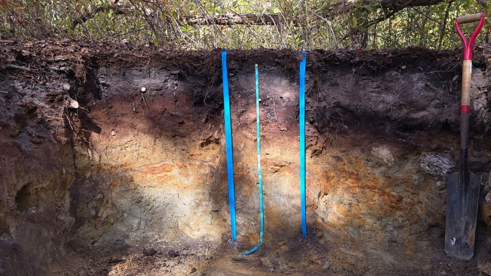 a cross-section of soil in a hole overlaid with measuring tape.