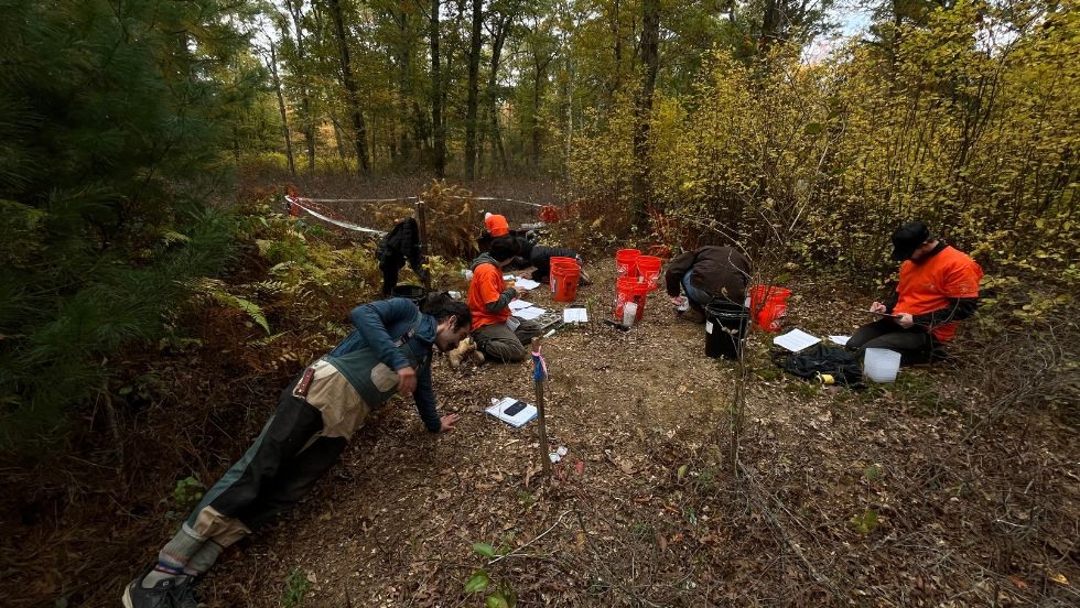 students working together to take soil measurements in a hole in the woods surrounded by fall leaves