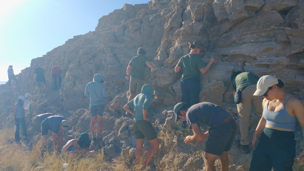 students get up close to a rockface to inspect the geologic features
