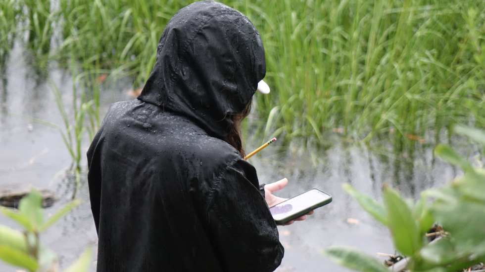 one of the team members making notes in the rain beside the water
