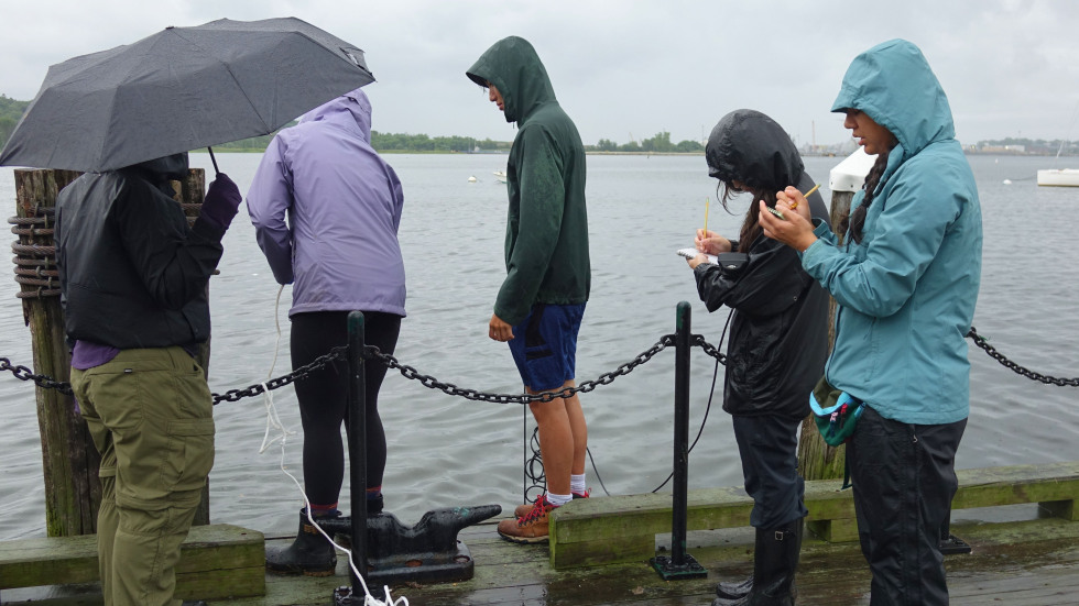 the team working together to take samples and make notes on the dock at India Point Park