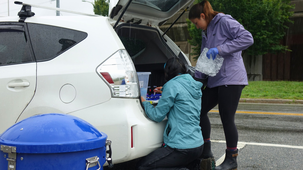two teammates working together to test the water samples in the back of an SUV