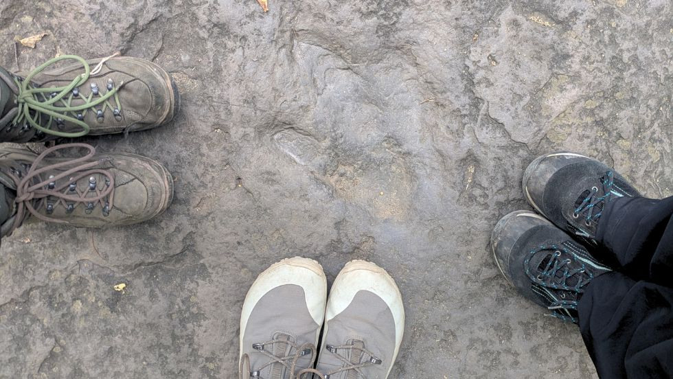 three students' pose their feet beside a fossized dinosaur footprint 