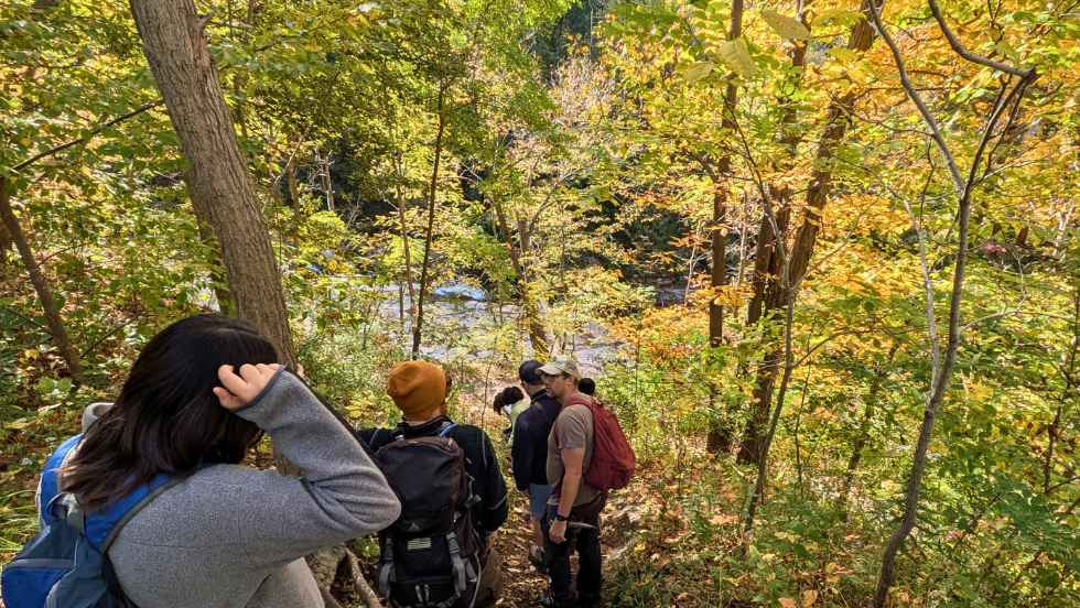 students hiking through a forest area bright with fall leaves